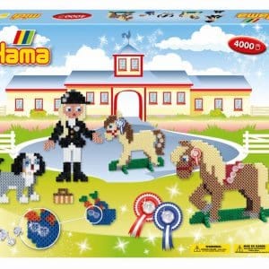 קופסא גדולה-בית ספר לרכיבה