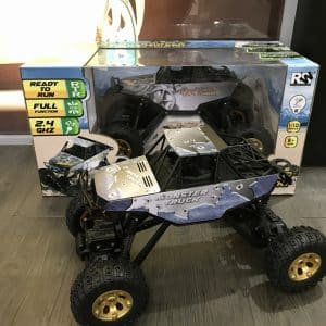 זחלן סלעים 1/10 על שלט