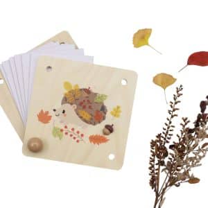 מתקן ייבוש פרחים 3523567