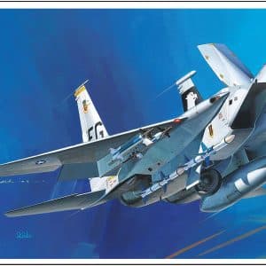 מטוס להרכבה F15C EAGLE 1\72 של הסגאווה 040543