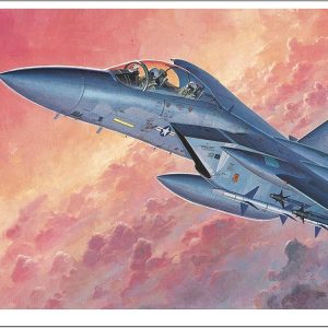 מטוס להרכבה - F15D\DJ EAGLE 1\72 של הסגאווה 040435