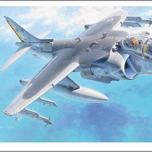 מטוס תקיפה AV-8B Harrier II – דגם להרכבה | Hasegawa 040449 (1/72)